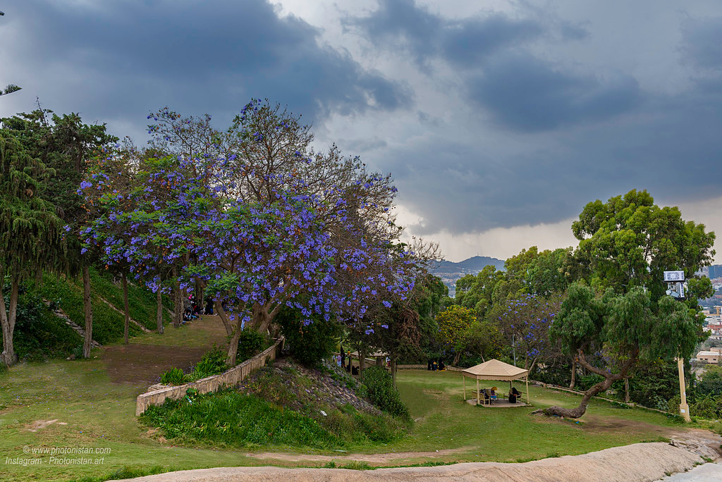 Abu Khayal Park experience