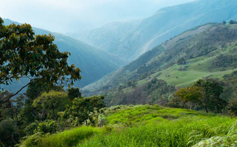 Asir National Park experience
