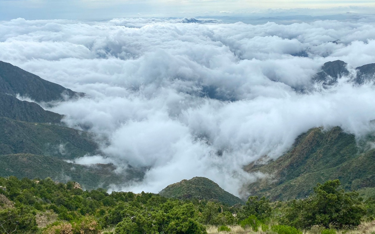 Jabal Sawda experience