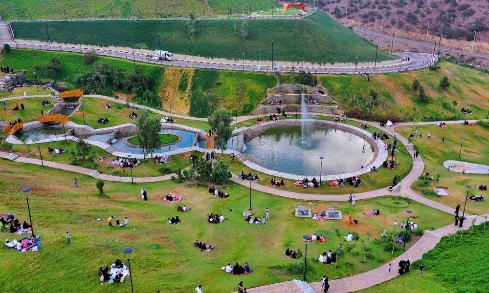 Raghadan Forest experience