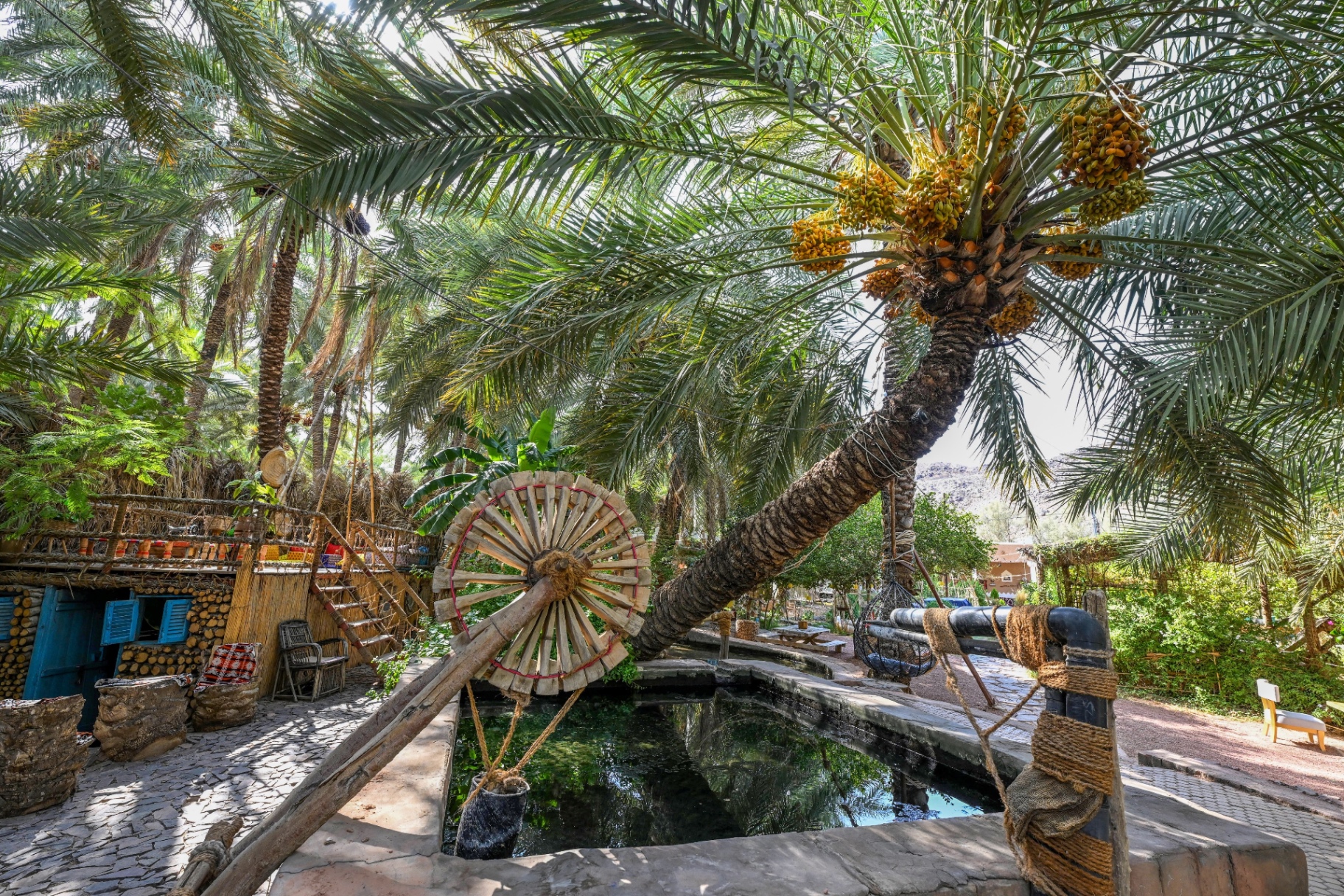 Al Qassim destination