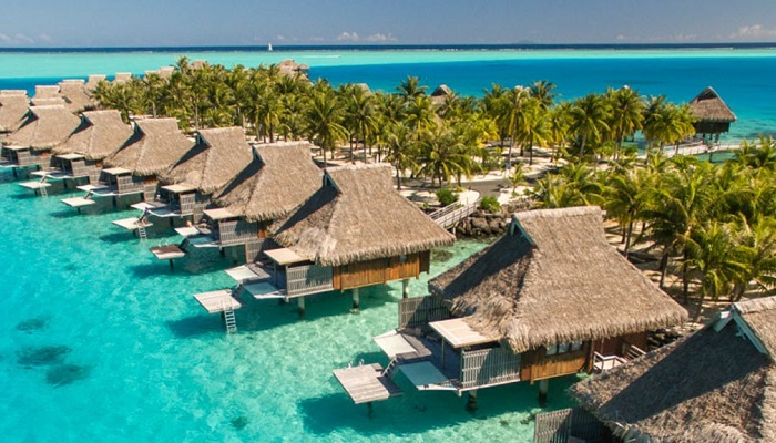 Farasan Islands experience