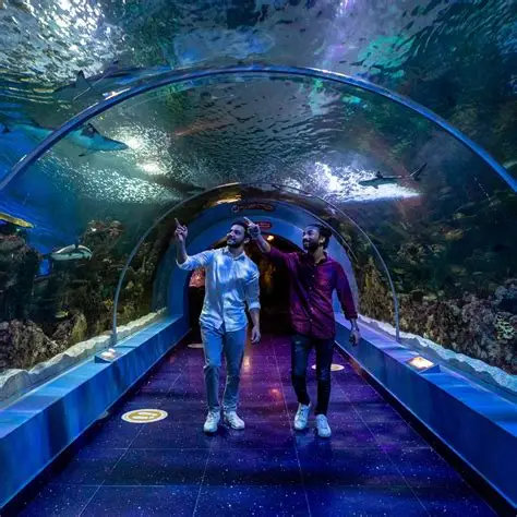 Fakieh Aquarium experience