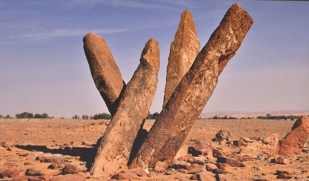 Al Rajajil Columns experience