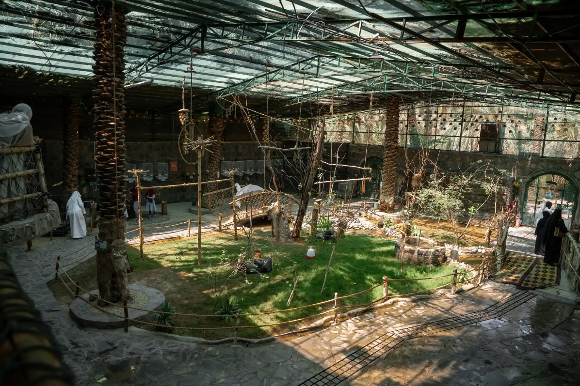Al Awsiya Bird Reserve experience