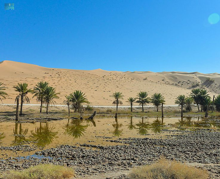 Al Muthnab Oases experience