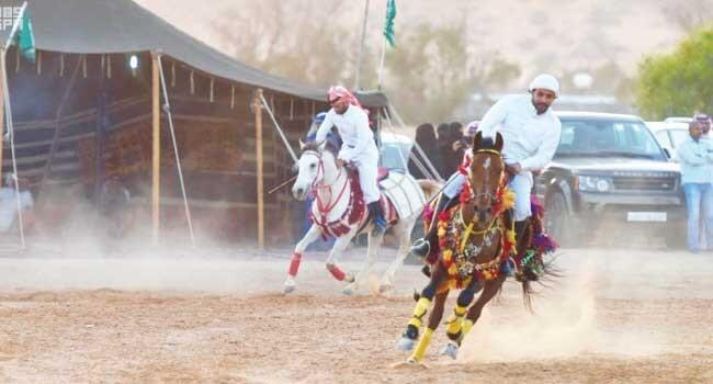 Bin Aasi Equestrian & Heritage Center experience