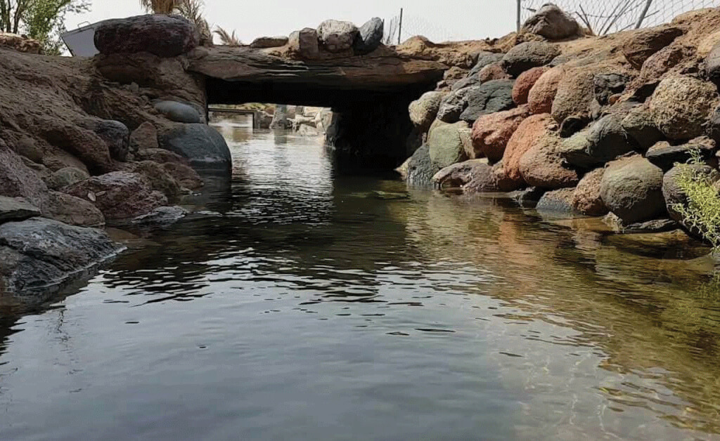 Ain Ajlan experience