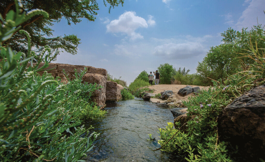 Yanbu Al Nakhl Village experience